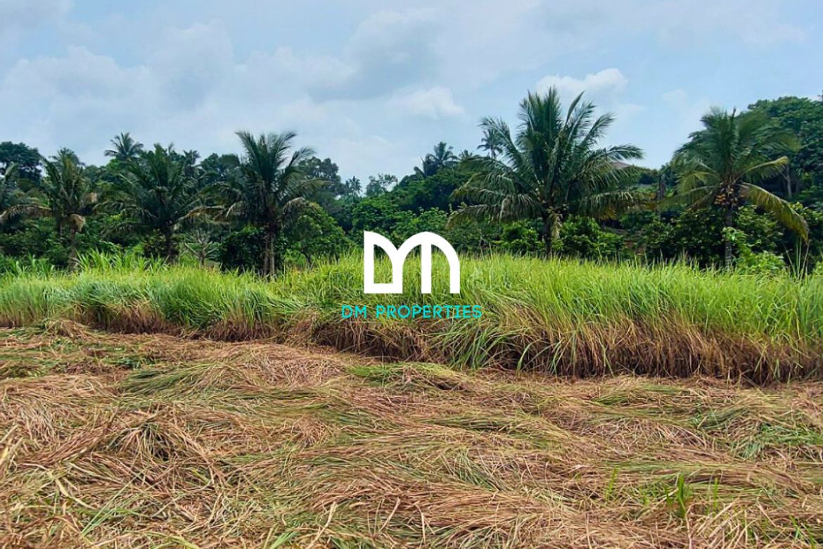 Land for Sale in Tolentino East, Tagaytay, Cavite – photo 2