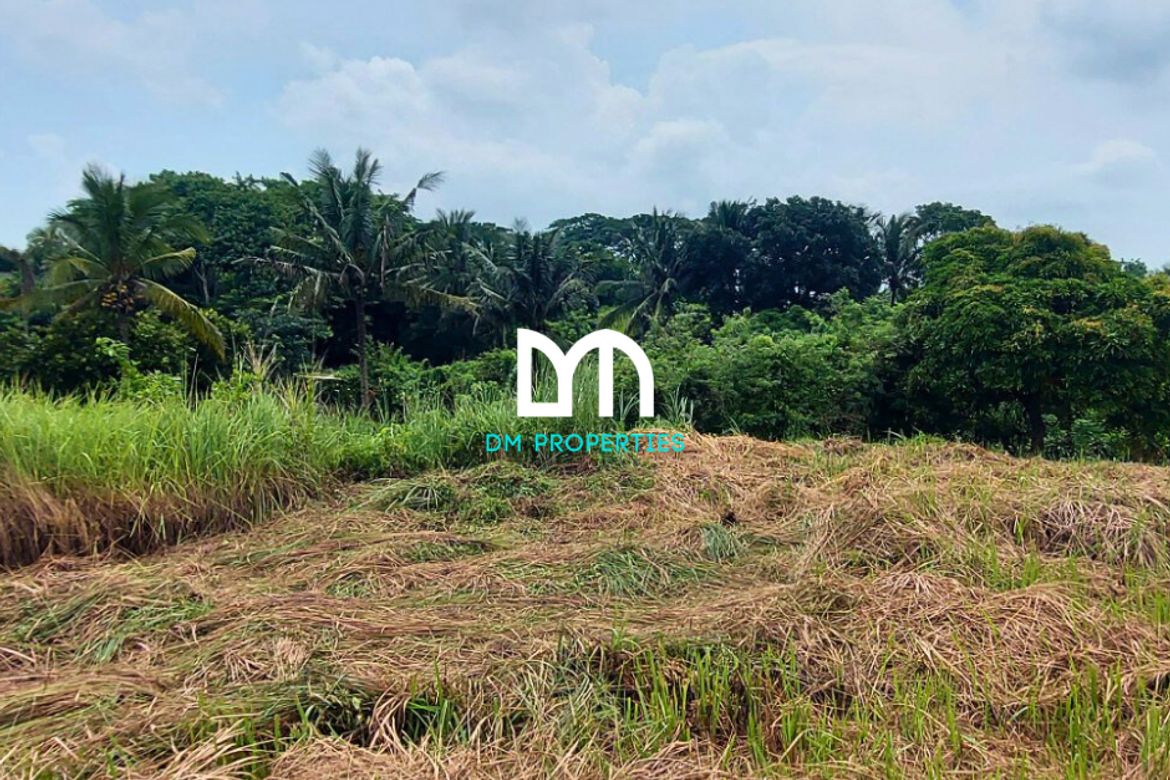 Land for Sale in Tolentino East, Tagaytay, Cavite – photo 3