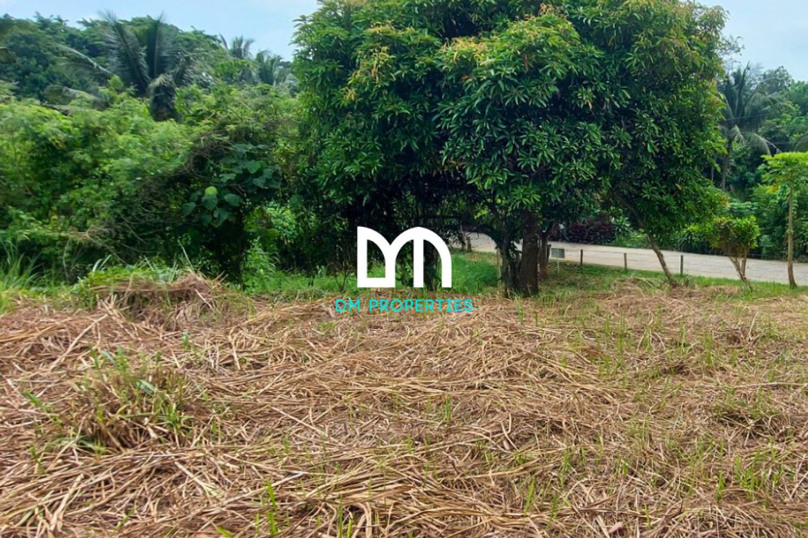 Land for Sale in Tolentino East, Tagaytay, Cavite – photo 5