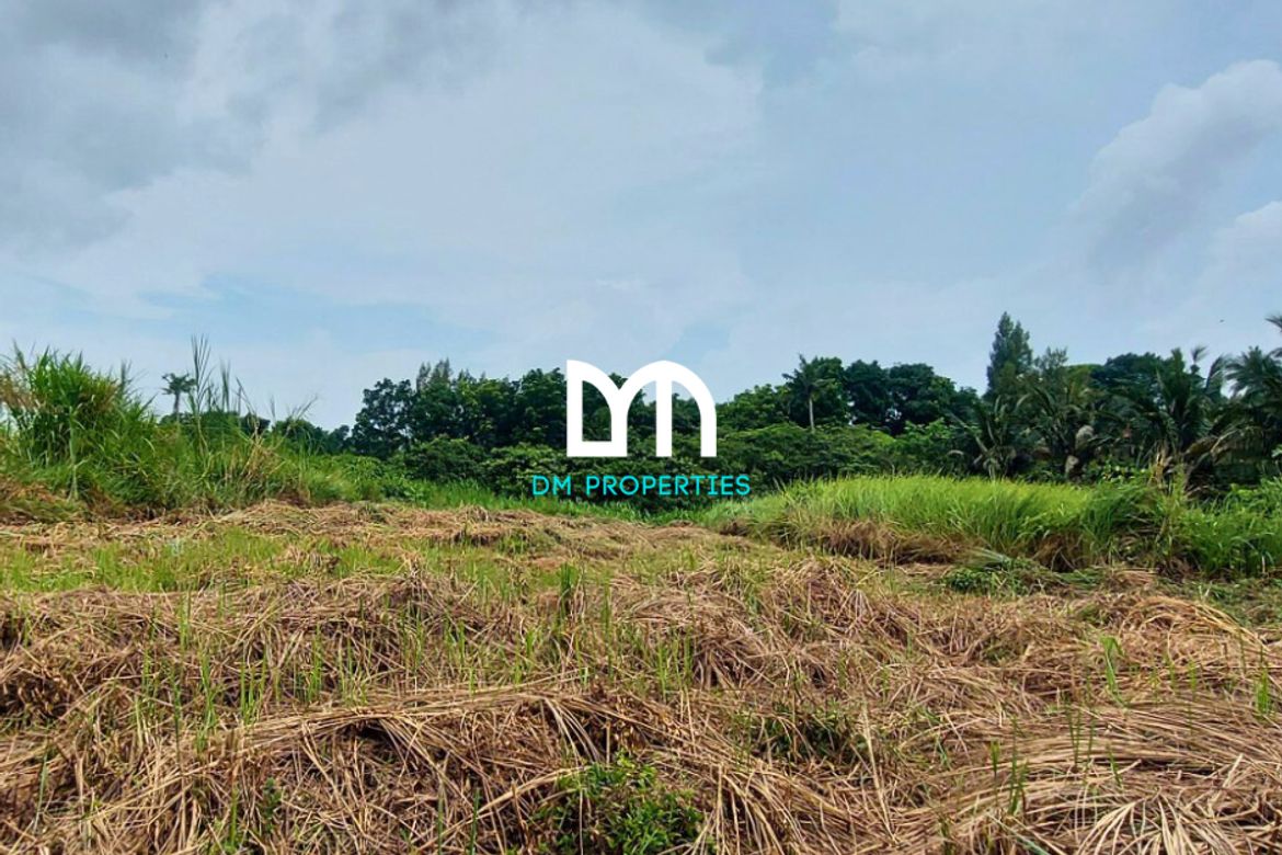 Land for Sale in Tolentino East, Tagaytay, Cavite – photo 7