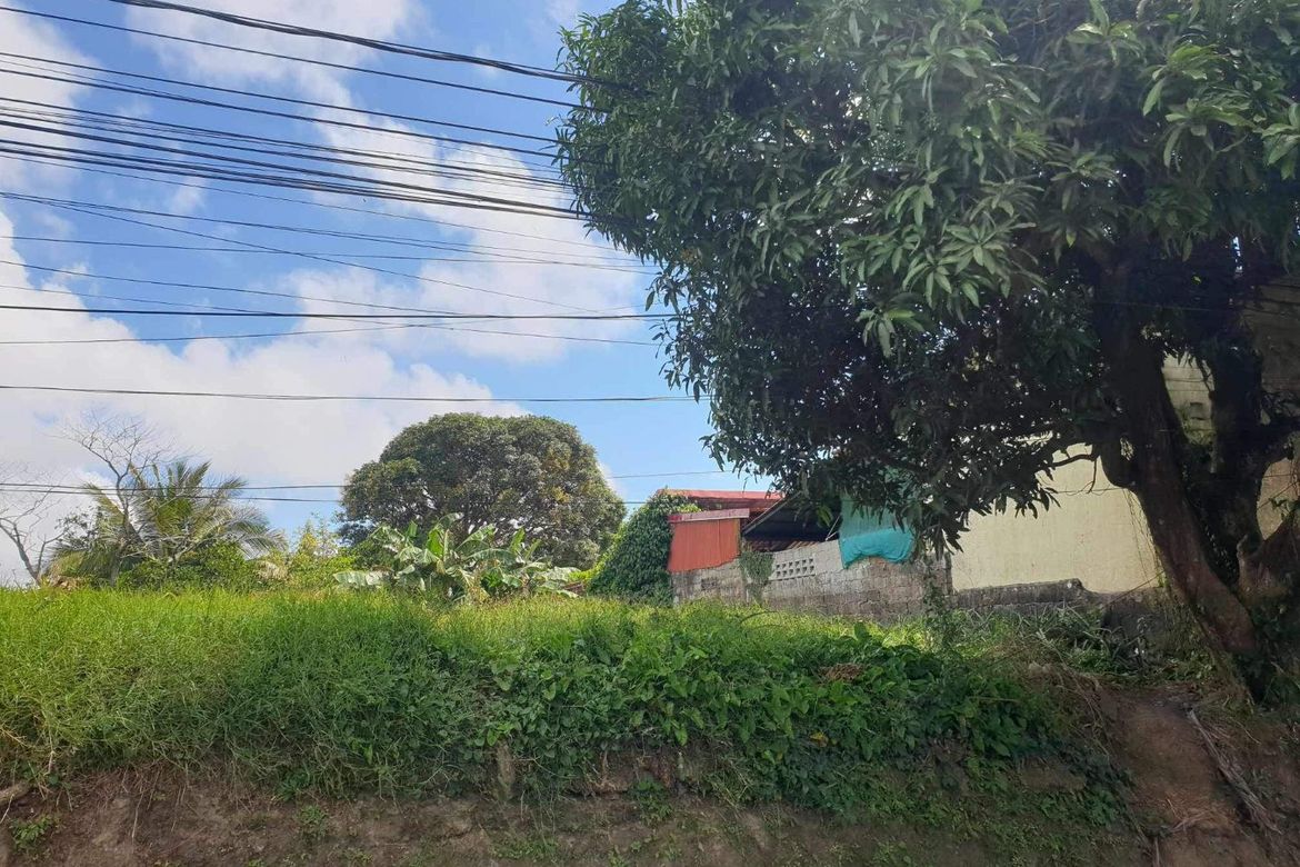 Land for Sale in Tolentino East, Tagaytay, Cavite – photo 3