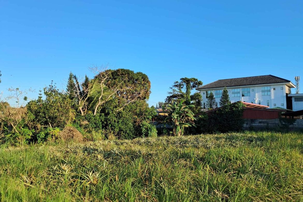 Land for Sale in Tolentino East, Tagaytay, Cavite – photo 6