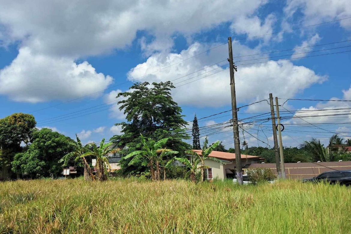 Land for Sale in Tolentino East, Tagaytay, Cavite – photo 8