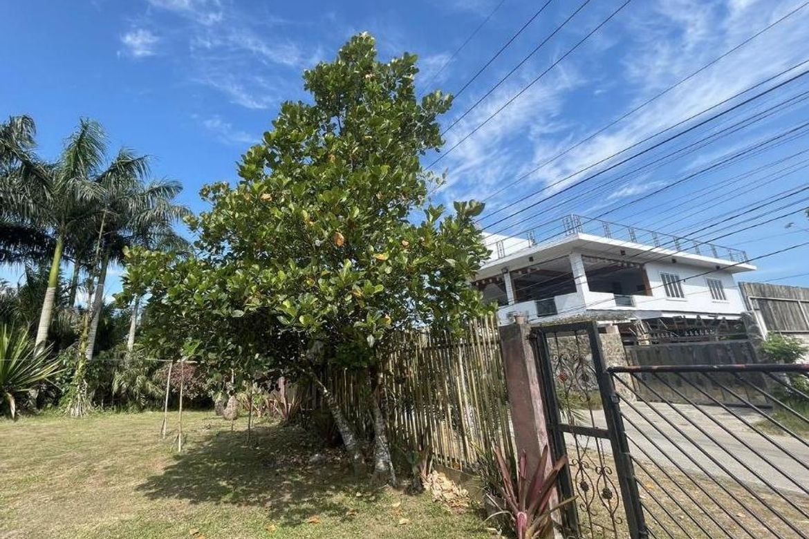 Land for Sale in Tolentino East, Tagaytay, Cavite – photo 3