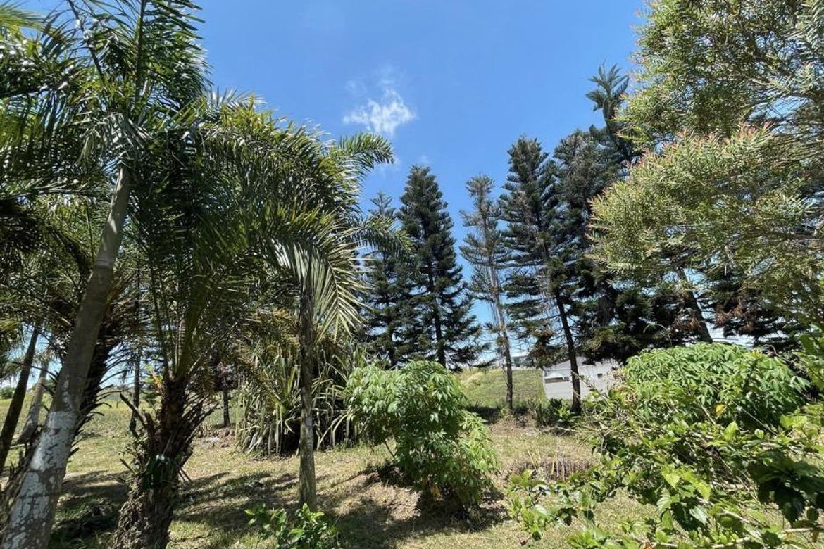 Land for Sale in Tolentino East, Tagaytay, Cavite – photo 4