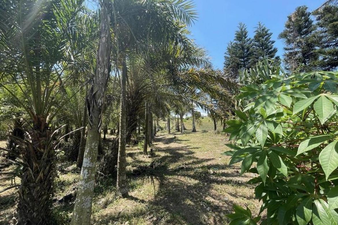 Land for Sale in Tolentino East, Tagaytay, Cavite – photo 6