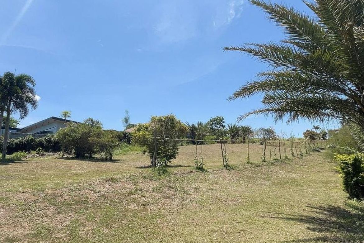 Land for Sale in Tolentino East, Tagaytay, Cavite – photo 8