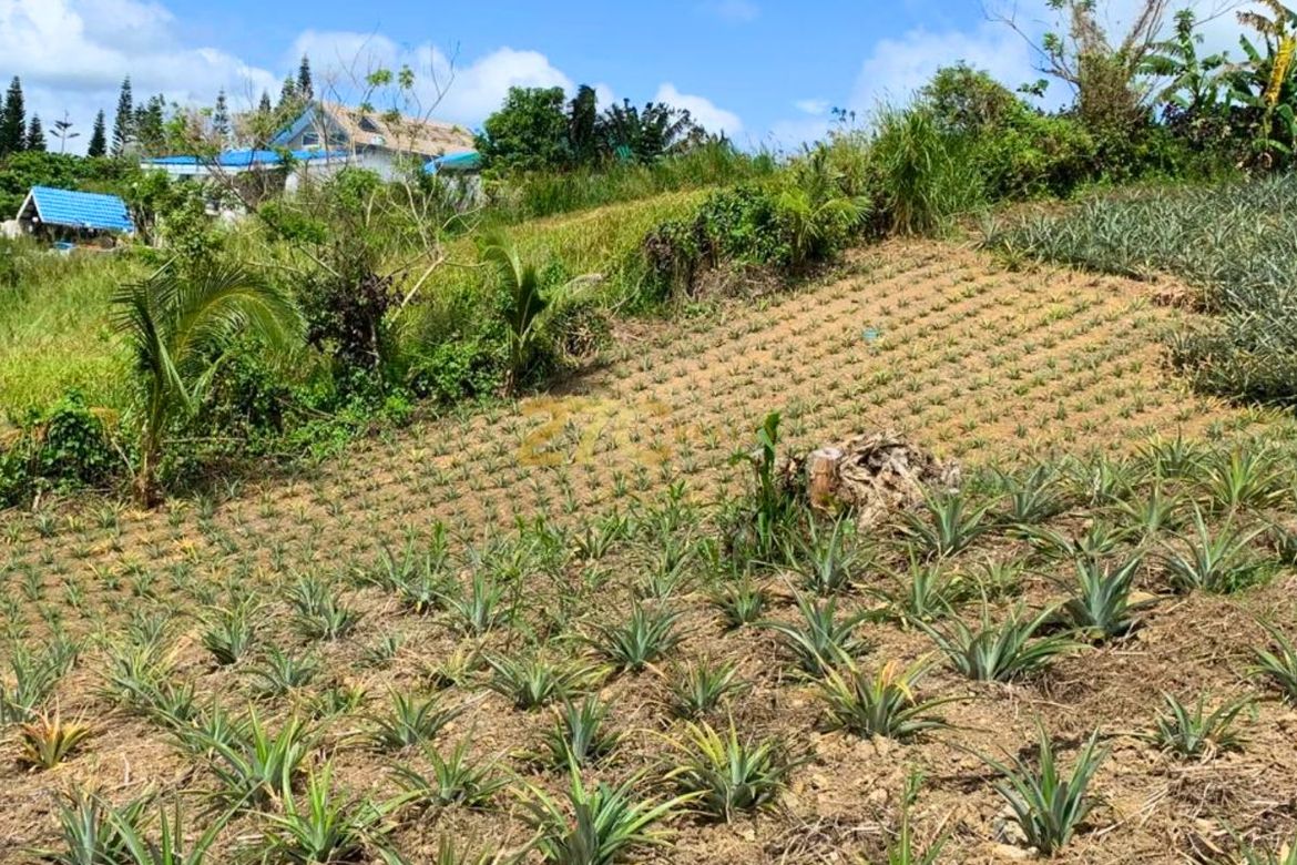 Land for Sale in Tolentino East, Tagaytay, Cavite – photo 3
