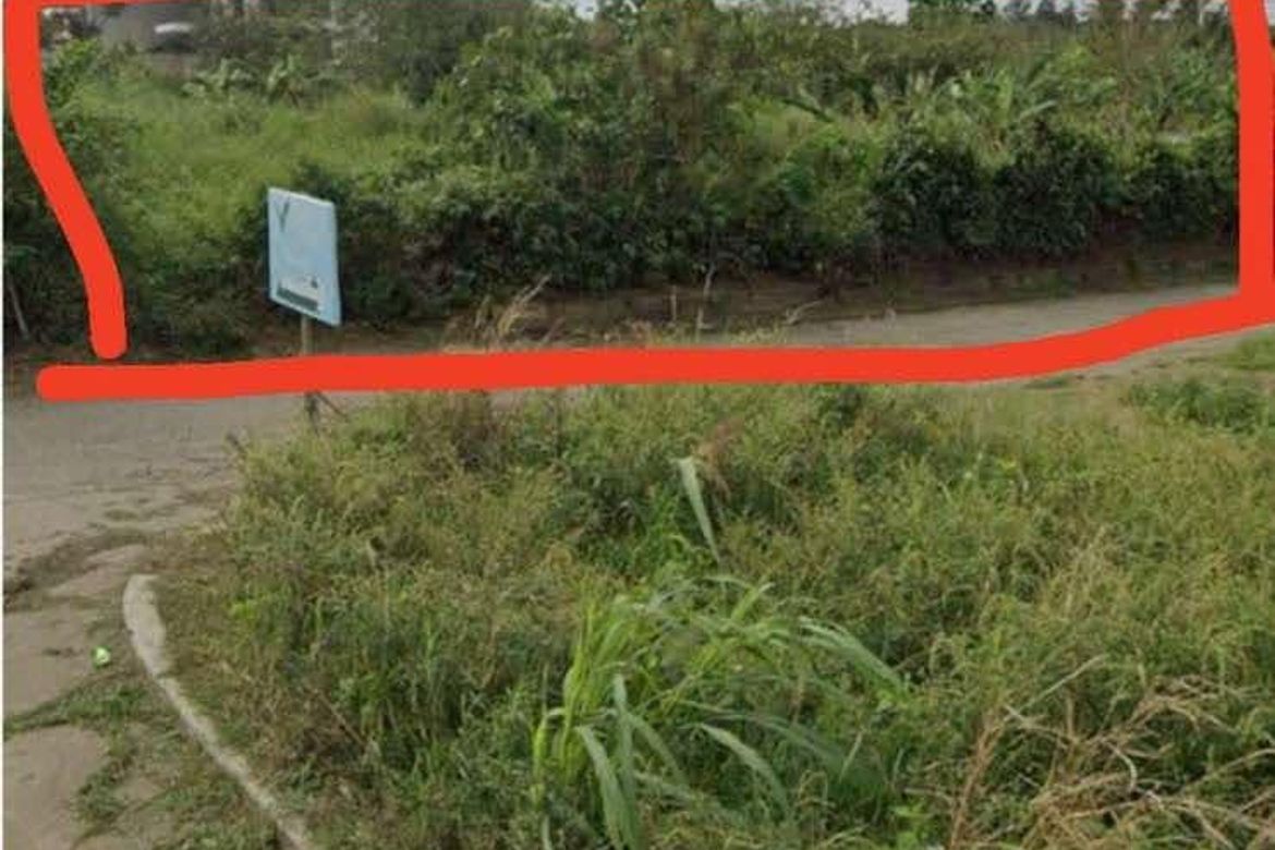 Land for Sale in Tolentino East, Tagaytay, Cavite – photo 5