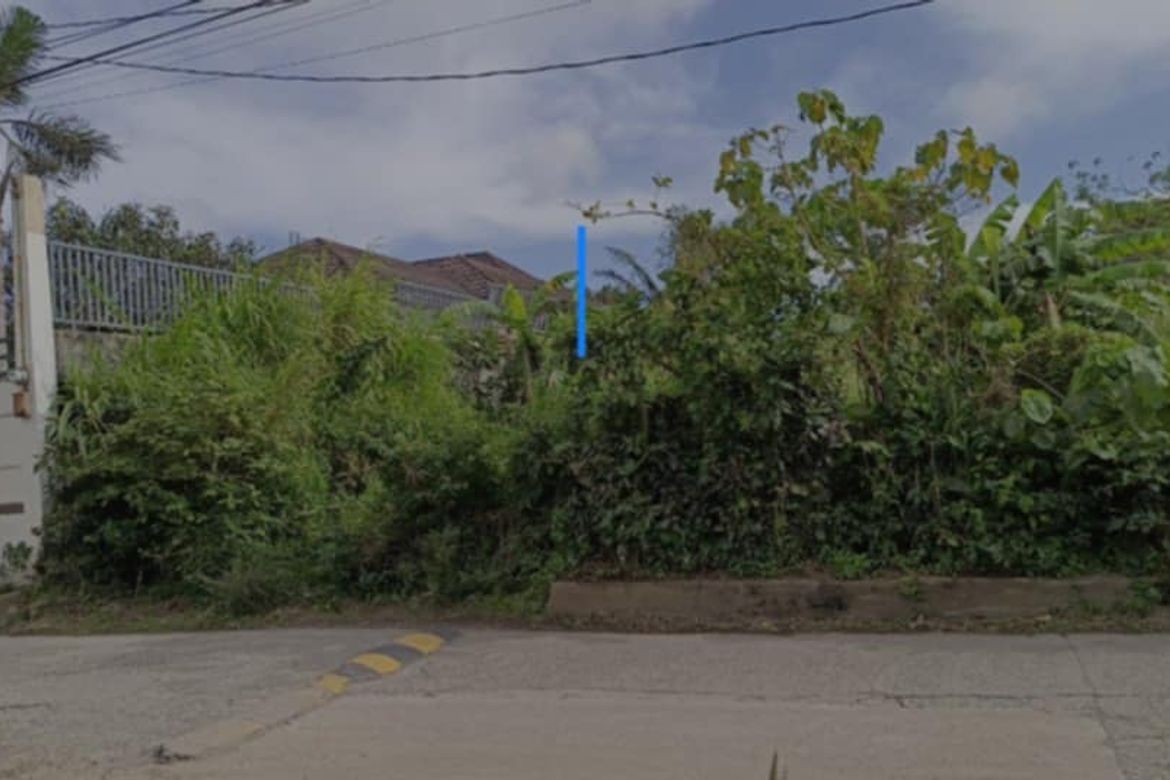 Land for Sale in Tolentino East, Tagaytay, Cavite – photo 6