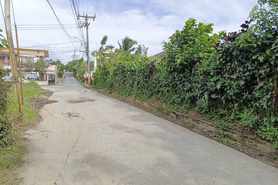 Land for Sale in Tolentino East, Tagaytay, Cavite – photo 7