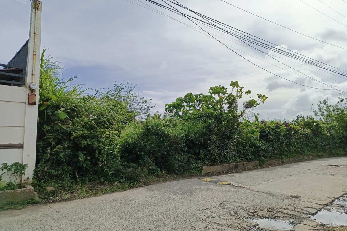 Land for Sale in Tolentino East, Tagaytay, Cavite – photo 8
