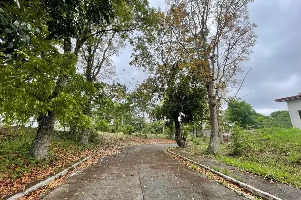 Land for Sale in Tolentino West, Tagaytay, Cavite – photo 3
