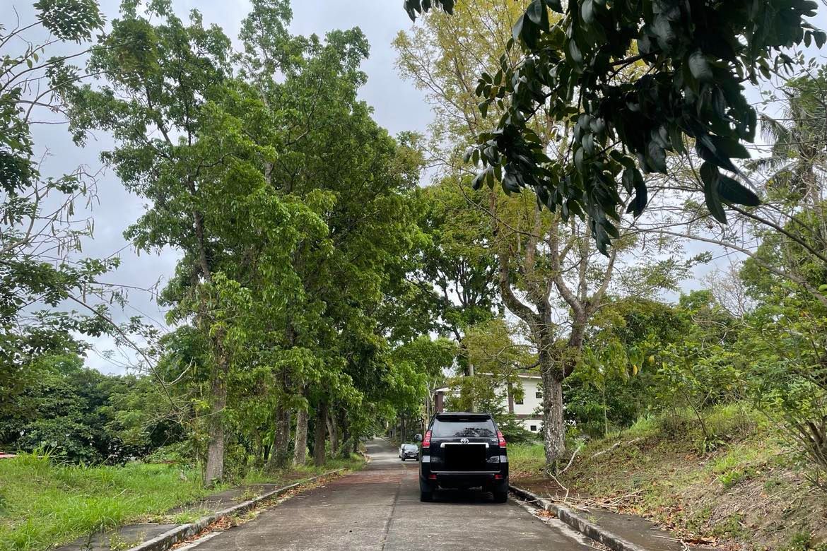 Land for Sale in Tolentino West, Tagaytay, Cavite – photo 2