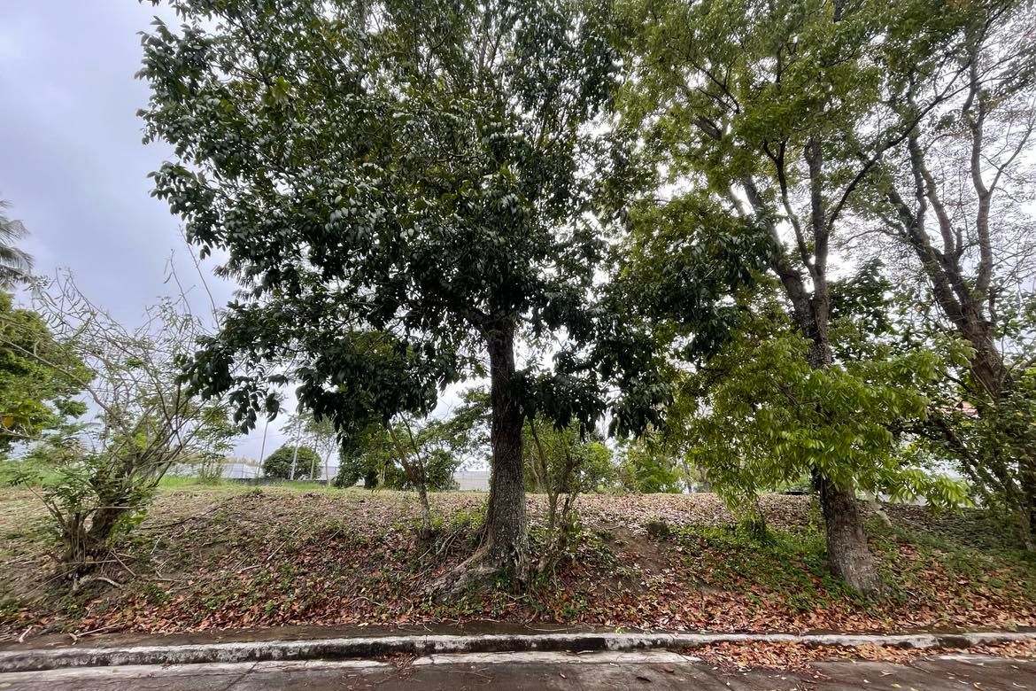Land for Sale in Tolentino West, Tagaytay, Cavite – photo 3