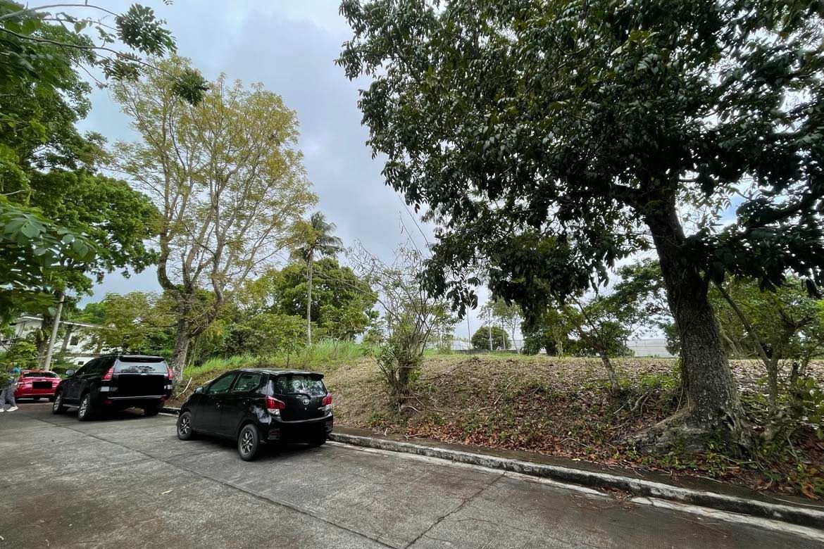 Land for Sale in Tolentino West, Tagaytay, Cavite – photo 6