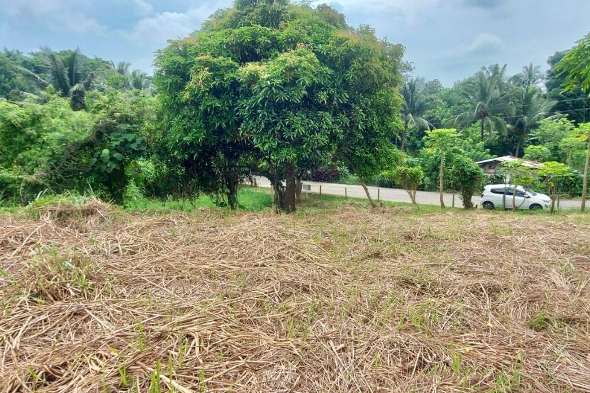 Land for Sale in Tolentino West, Tagaytay, Cavite