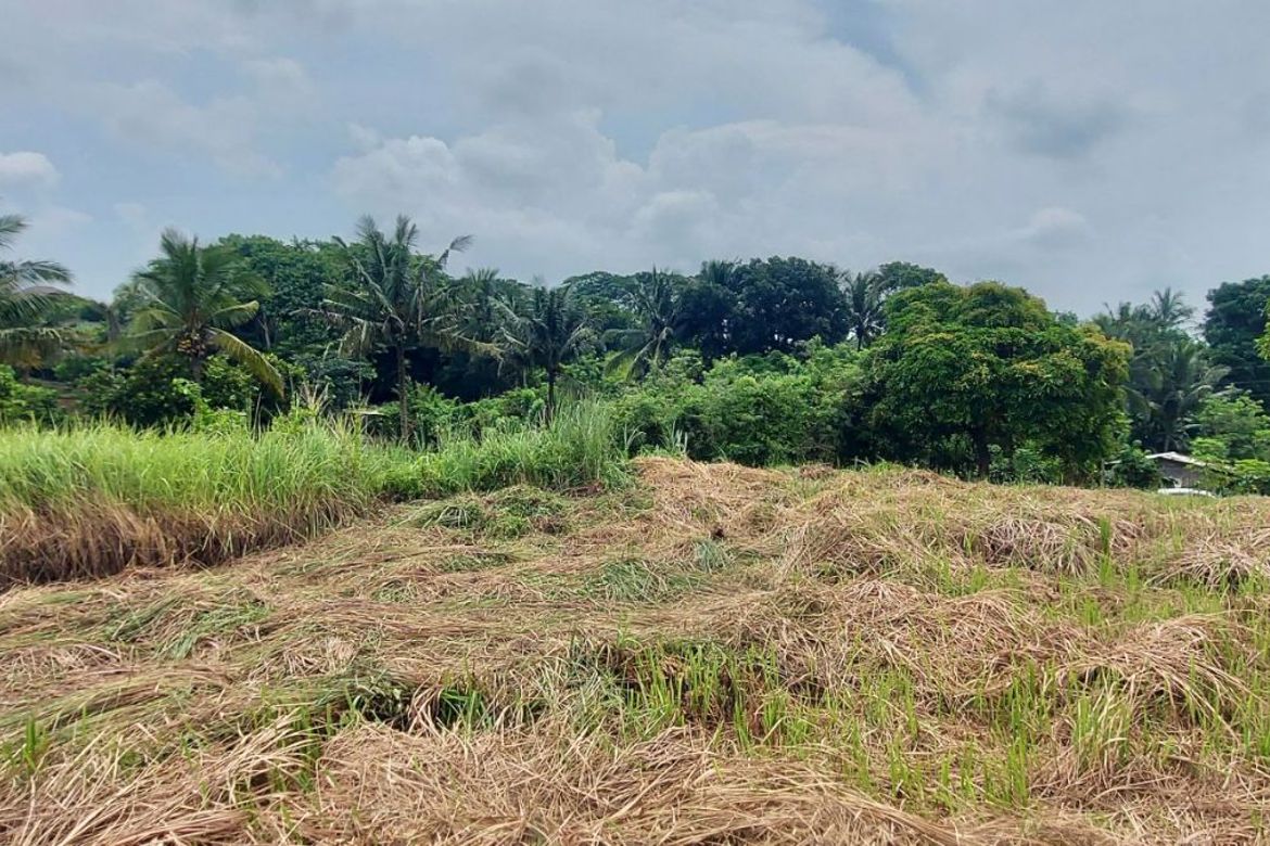 Land for Sale in Tolentino West, Tagaytay, Cavite – photo 3
