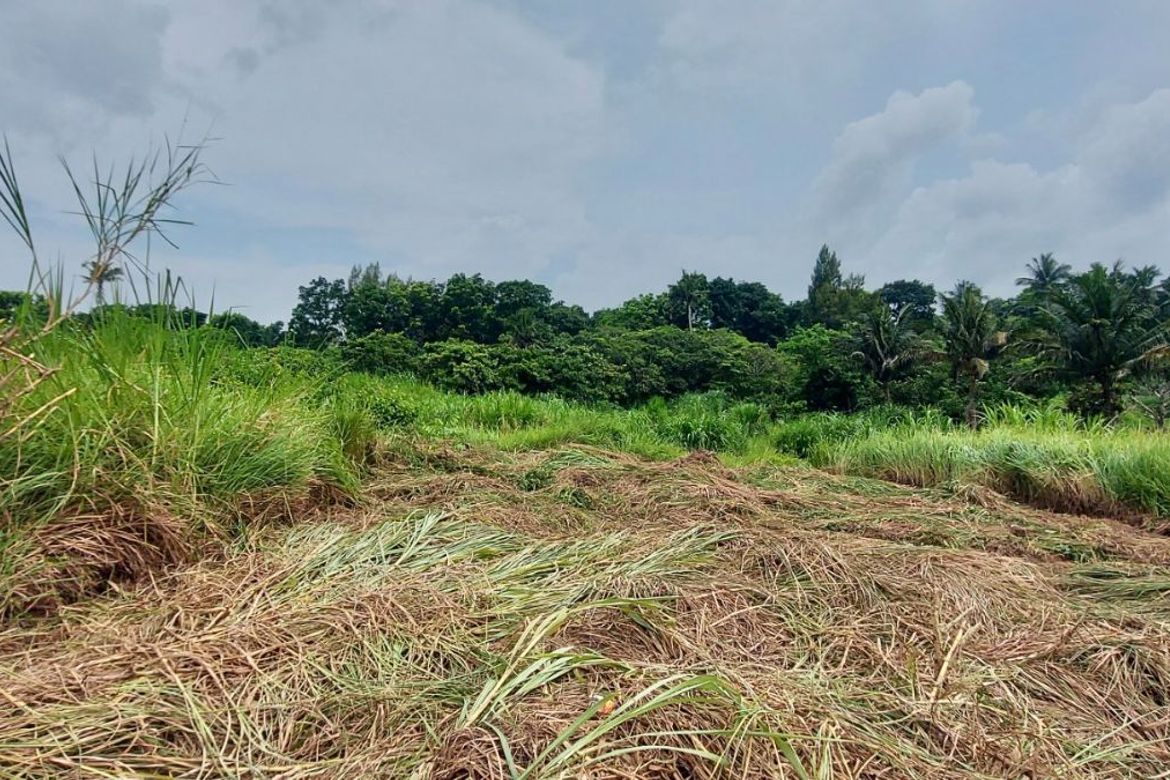 Land for Sale in Tolentino West, Tagaytay, Cavite – photo 7