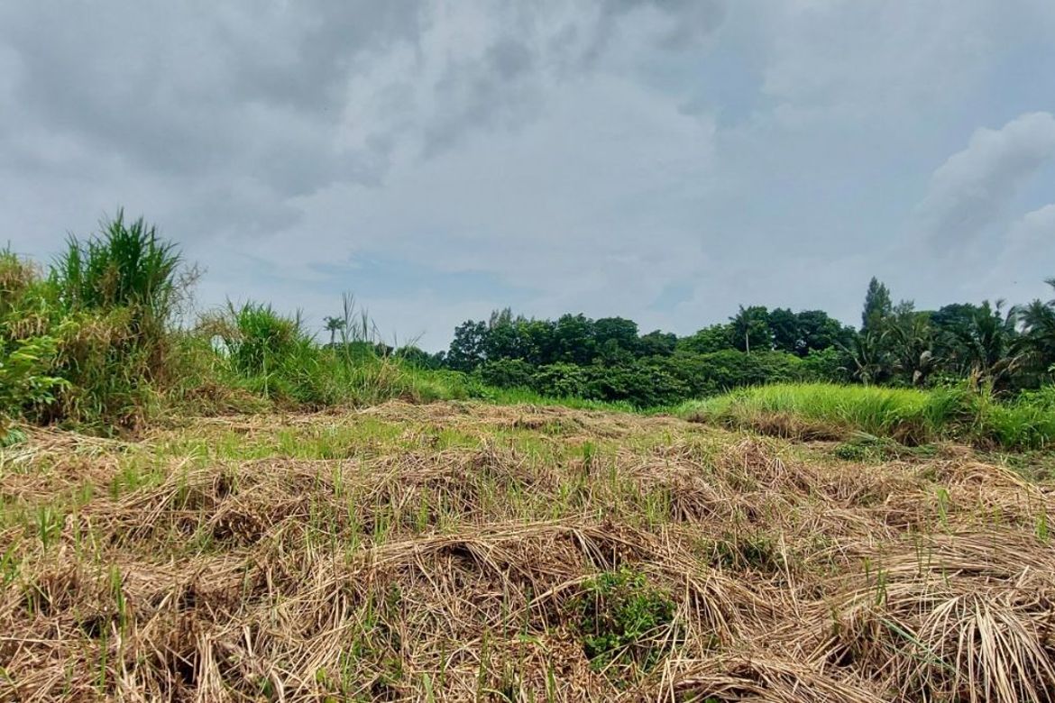 Land for Sale in Tolentino West, Tagaytay, Cavite – photo 8