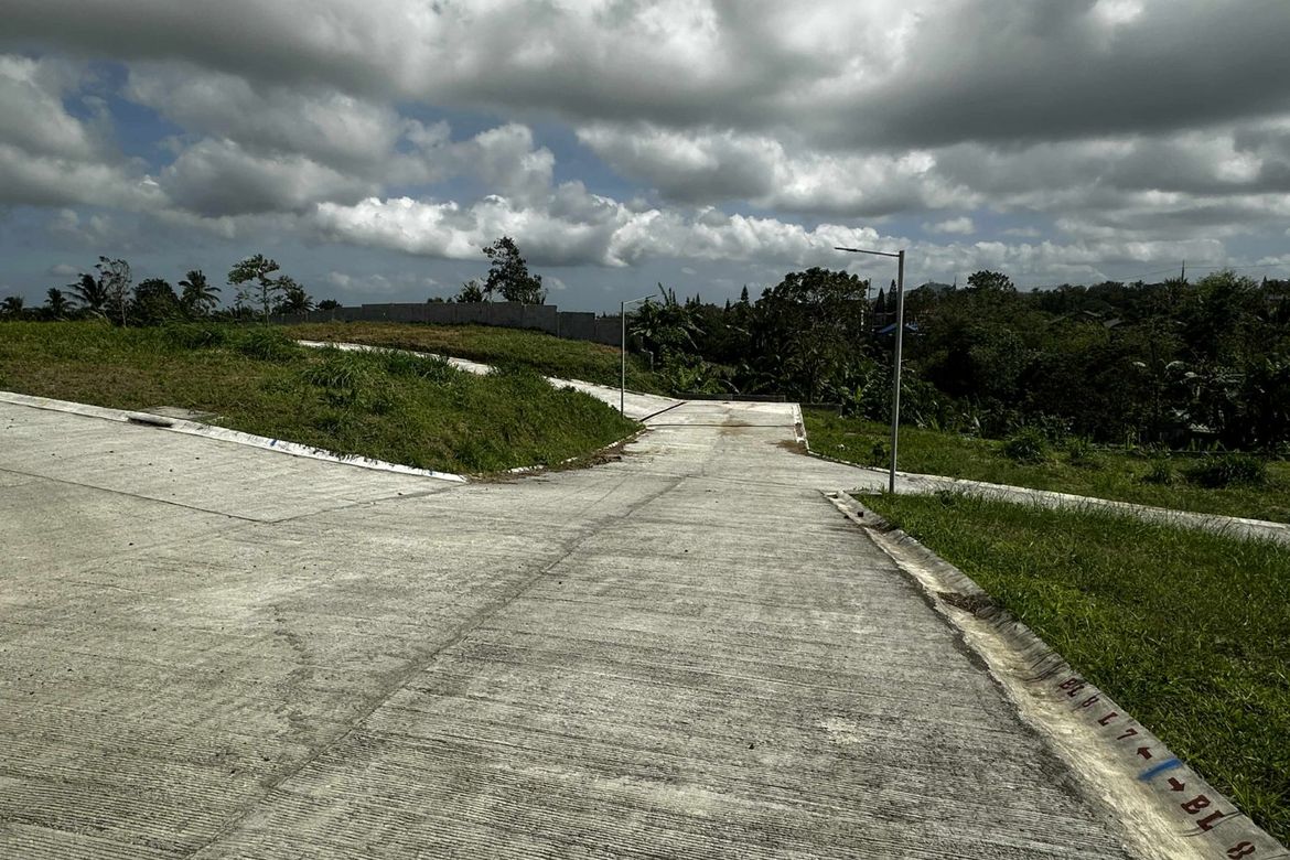 Land for Sale in Tolentino West, Tagaytay, Cavite – photo 7