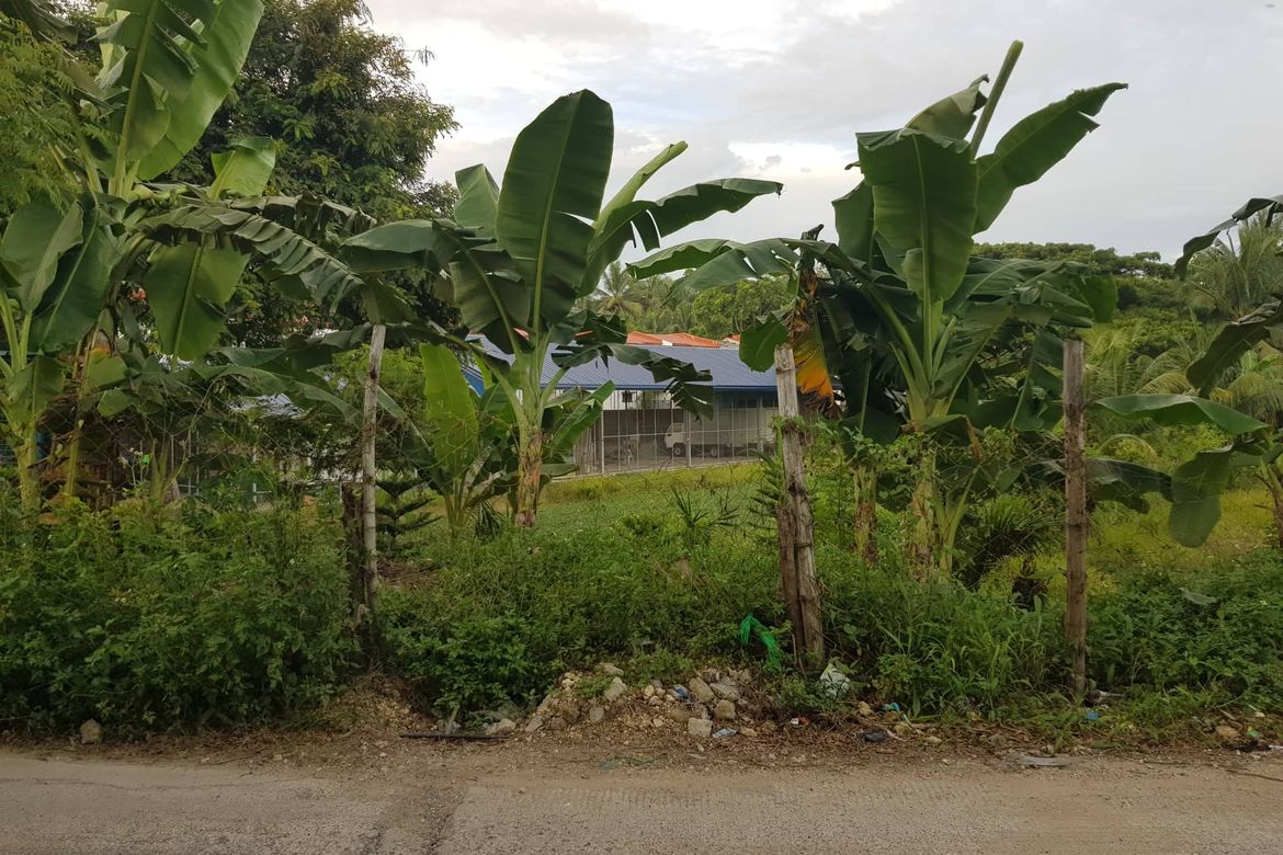 Land for Sale in Tolotolo, Consolacion, Cebu – photo 4