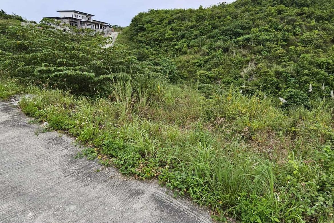 Land for Sale in Tolotolo, Consolacion, Cebu