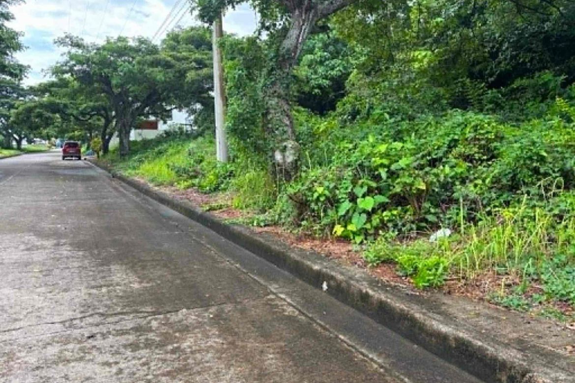Land for Sale in Tolotolo, Consolacion, Cebu