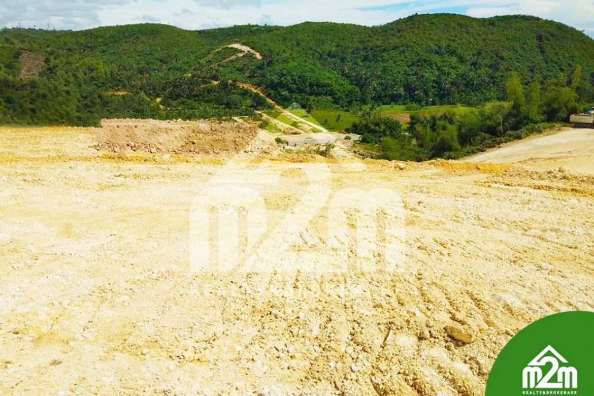 Land for Sale in Tolotolo, Consolacion, Cebu – photo 5