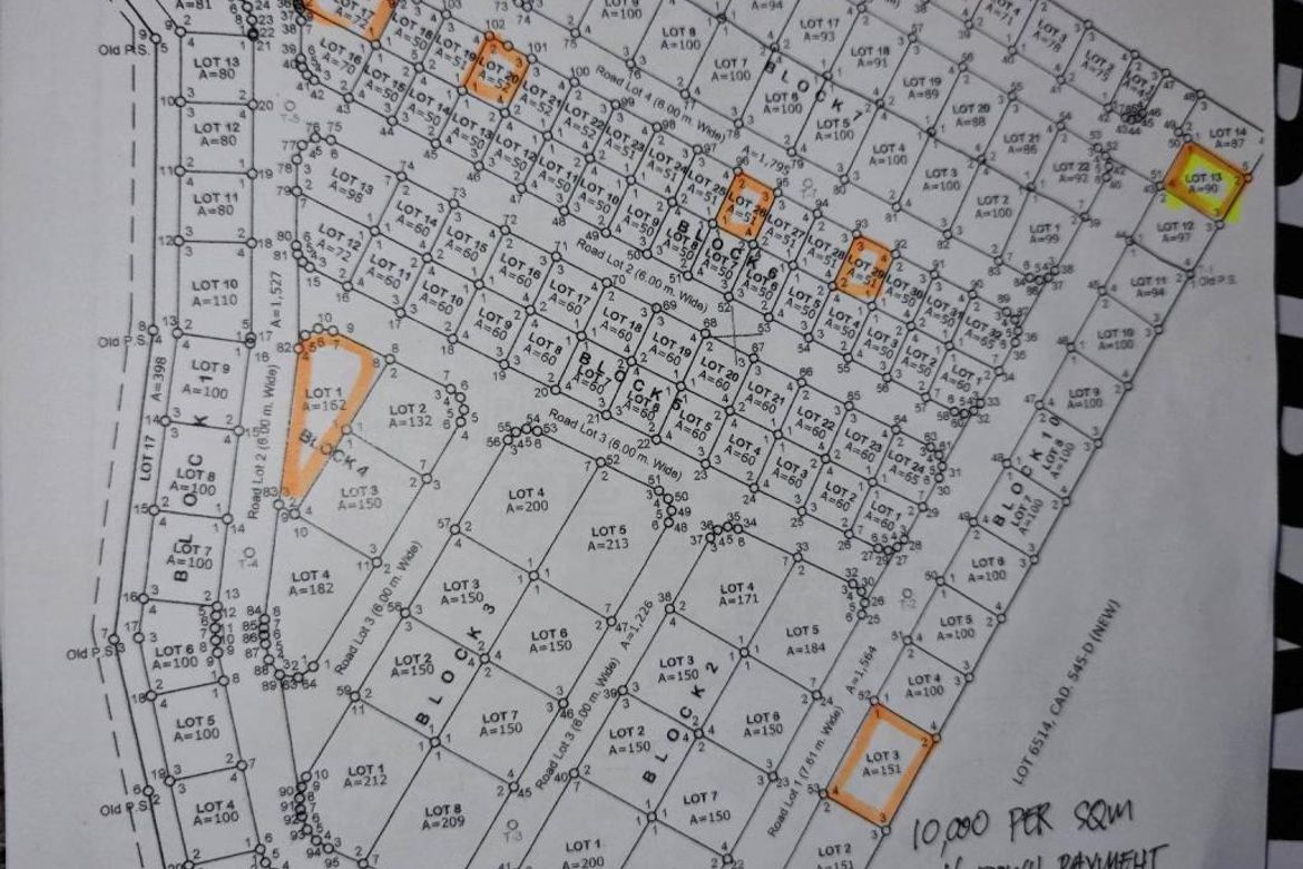 Land for Sale in Tolotolo, Consolacion, Cebu – photo 8