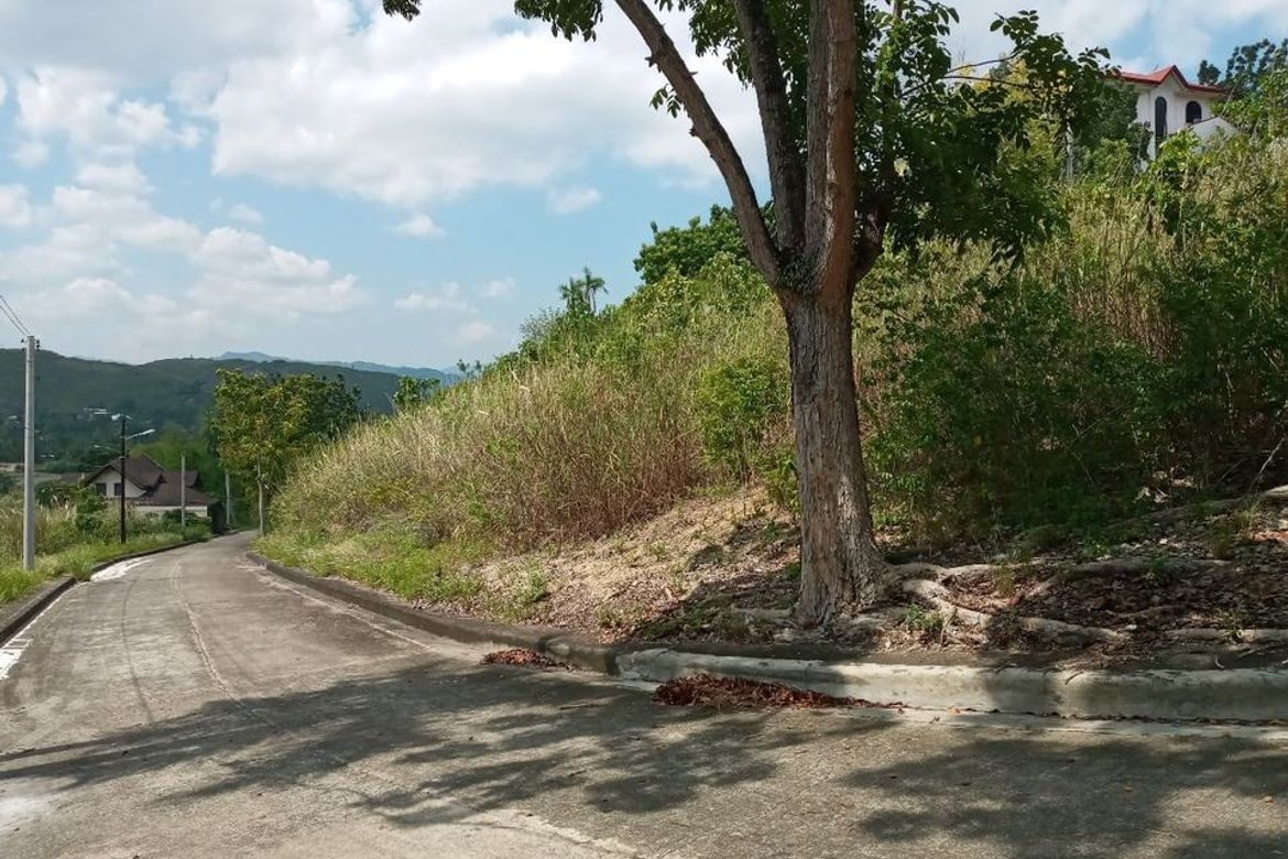 Land for Sale in Tolotolo, Consolacion, Cebu – photo 6