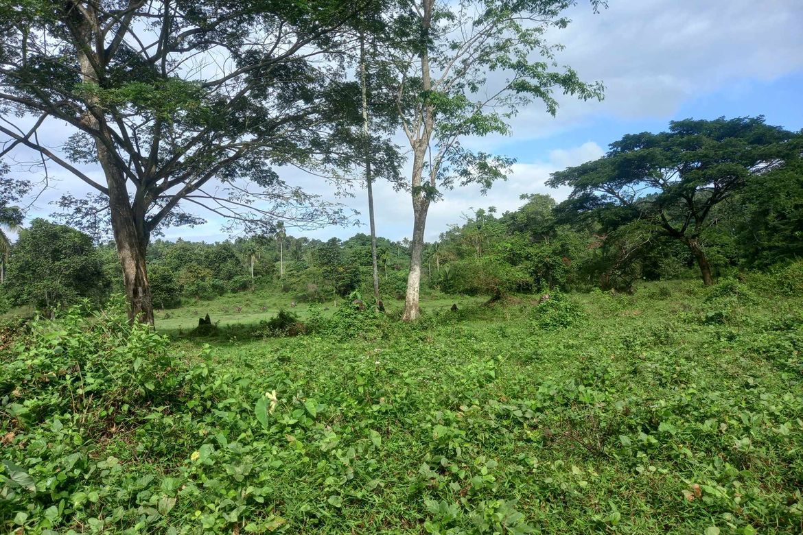 Land for Sale in Tomagoktok, Del Gallego, Camarines Sur – photo 2