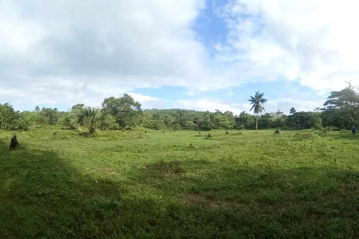 Land for Sale in Tomagoktok, Del Gallego, Camarines Sur – photo 4