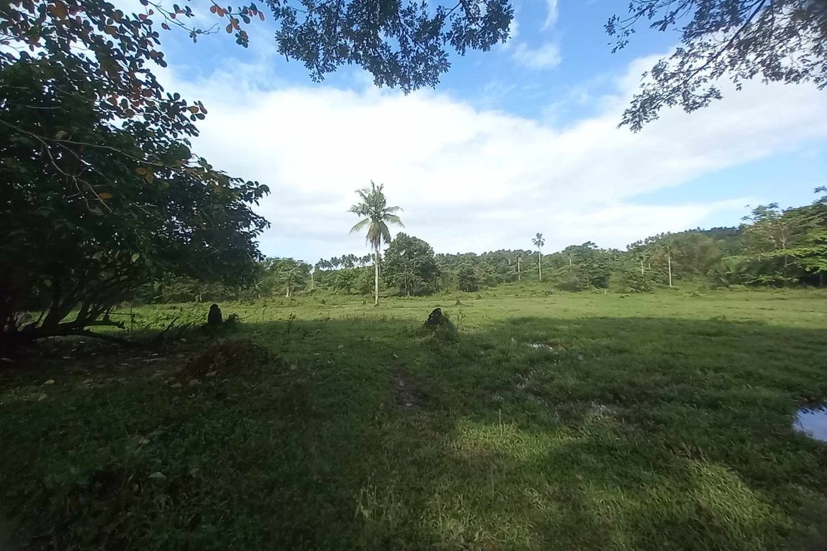 Land for Sale in Tomagoktok, Del Gallego, Camarines Sur – photo 5