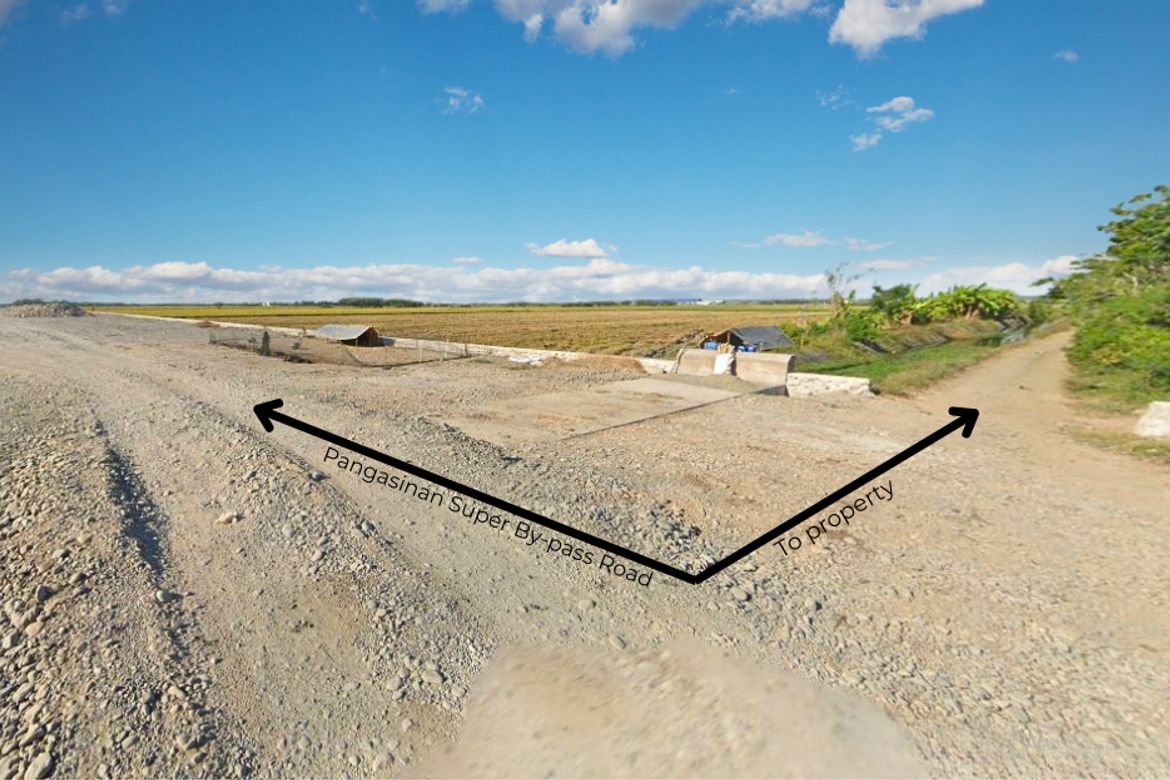 Land for Sale in Tombod, Villasis, Pangasinan – photo 2
