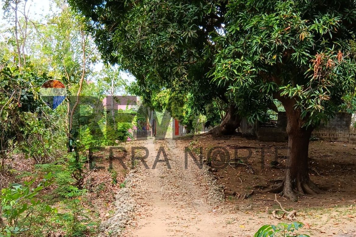 Land for Sale in Tondol, Anda, Pangasinan – photo 2