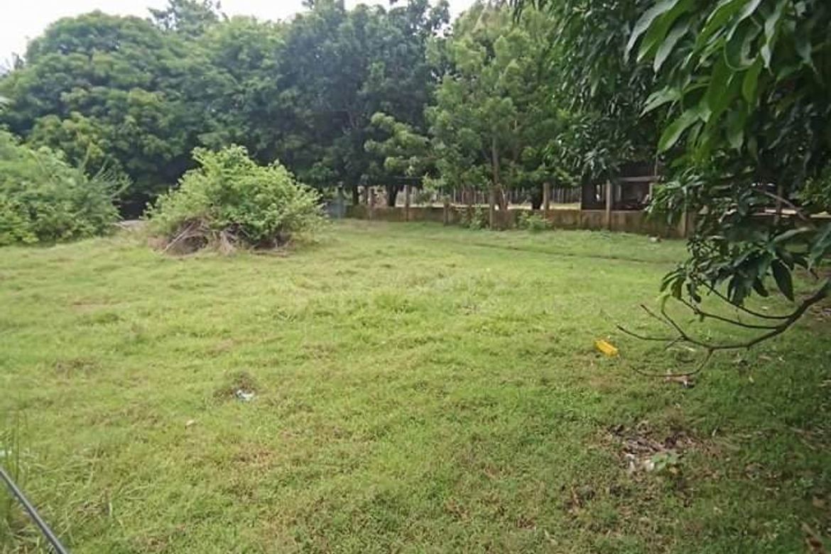 Land for Sale in Tondol, Anda, Pangasinan – photo 4