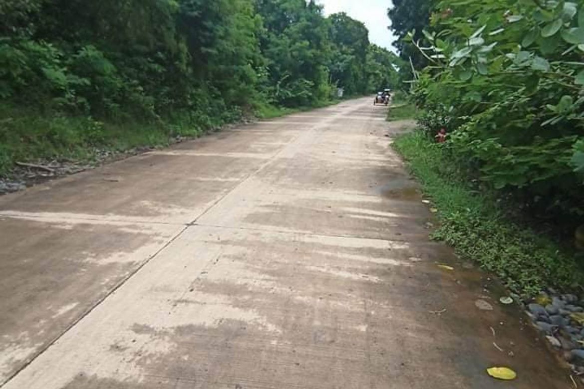 Land for Sale in Tondol, Anda, Pangasinan – photo 8