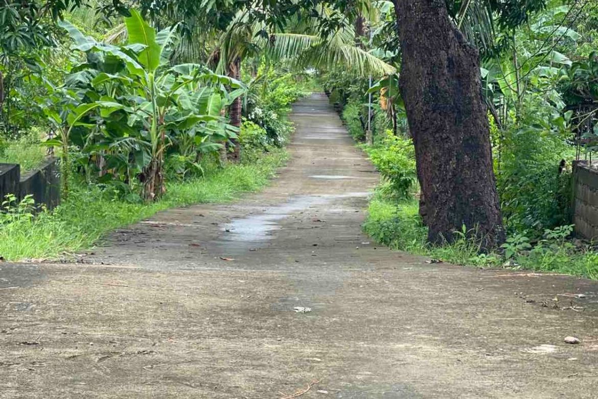 Land for Sale in Tondol, Anda, Pangasinan – photo 4