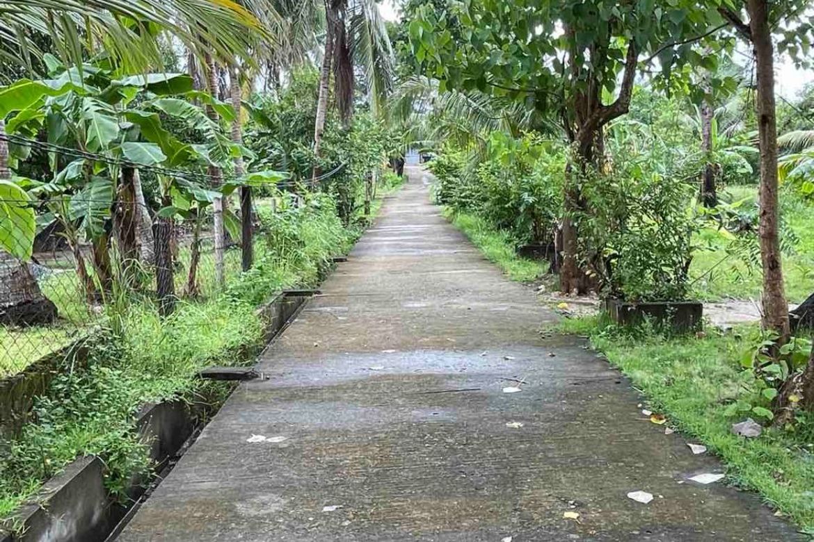 Land for Sale in Tondol, Anda, Pangasinan – photo 5
