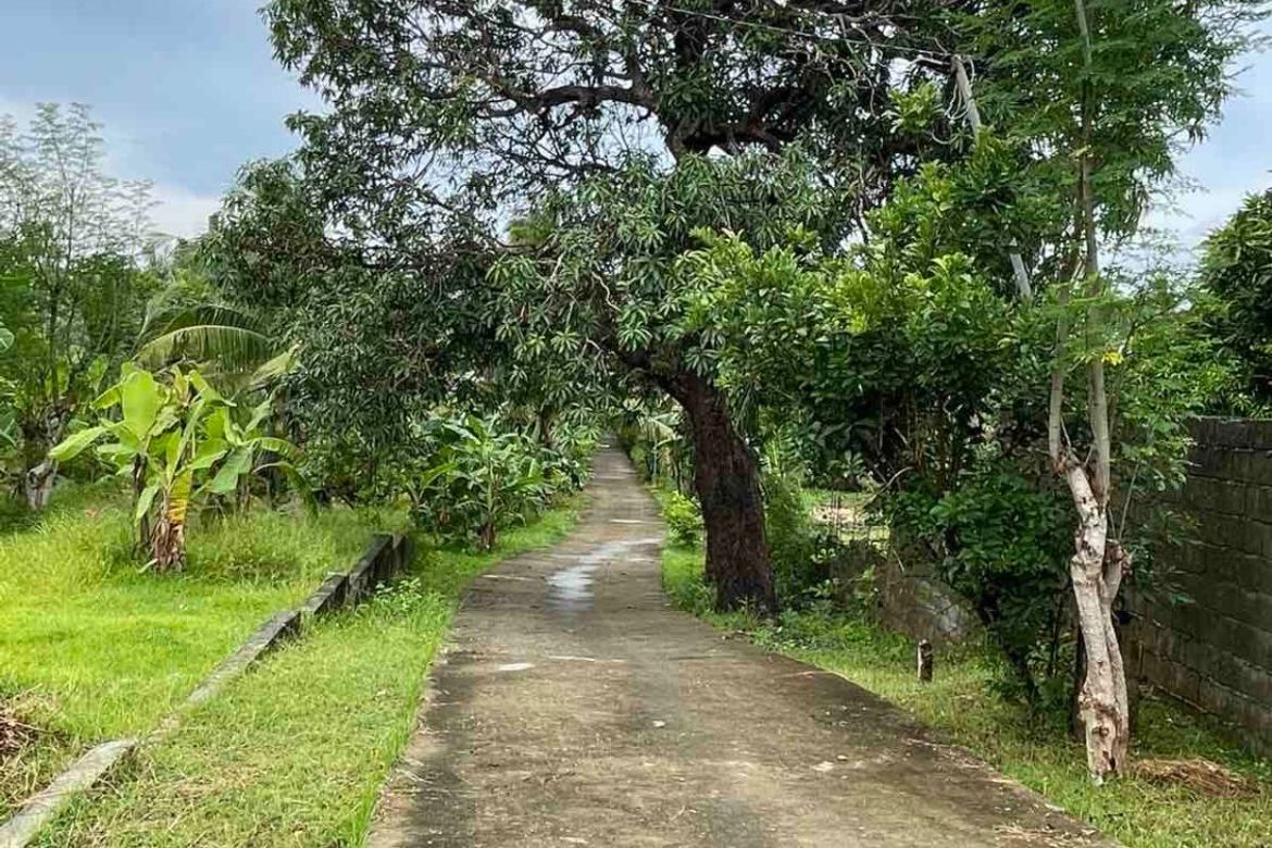 Land for Sale in Tondol, Anda, Pangasinan – photo 6