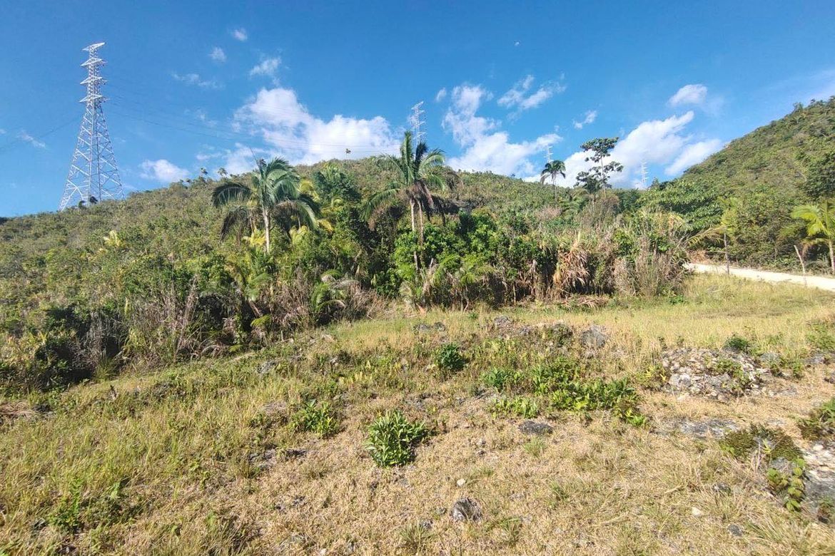 Land for Sale in Tontonan, Loon, Bohol – photo 5
