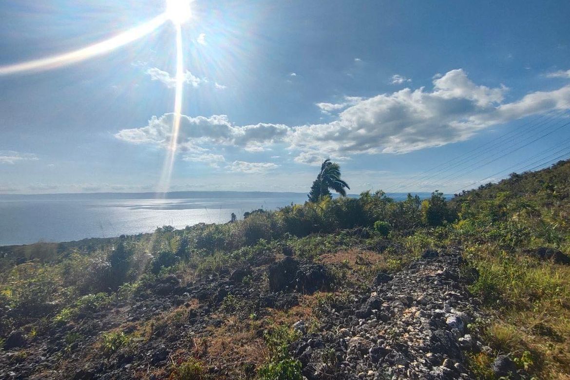 Land for Sale in Tontonan, Loon, Bohol – photo 6