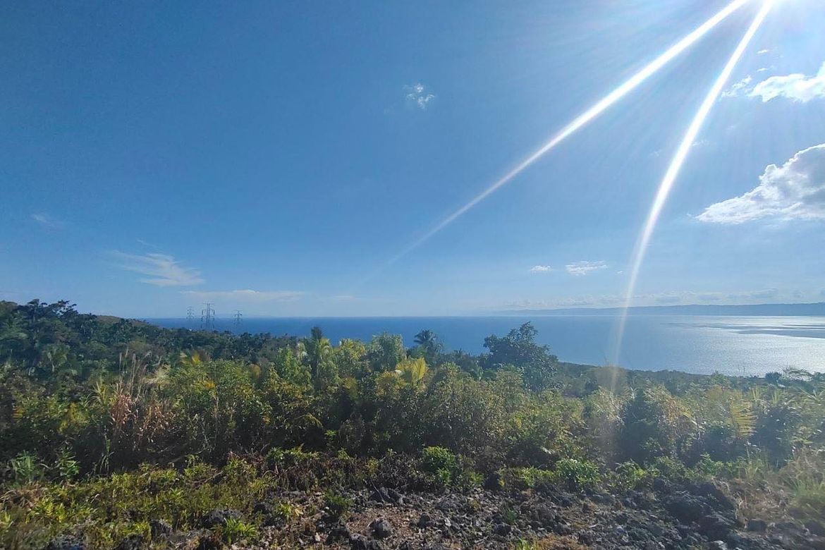 Land for Sale in Tontonan, Loon, Bohol – photo 7