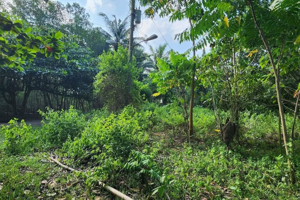 Land for Sale in Toril, Davao City, Davao del Sur – photo 3