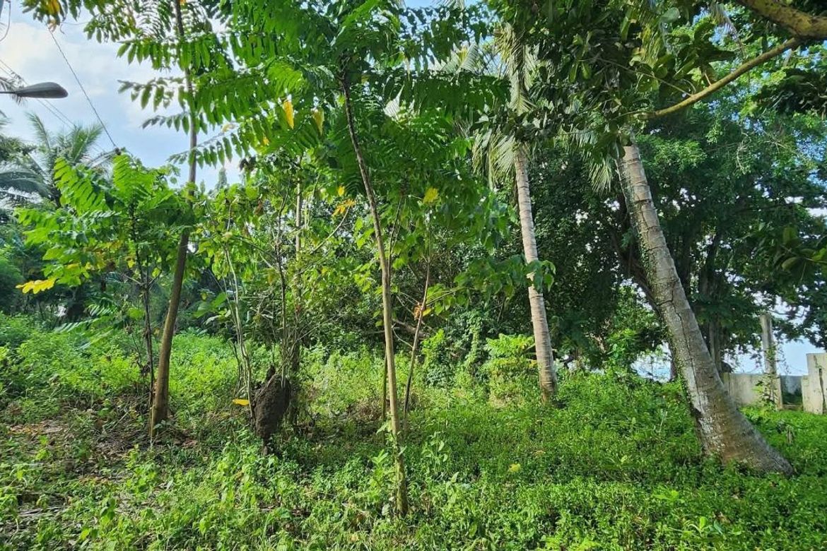 Land for Sale in Toril, Davao City, Davao del Sur – photo 4