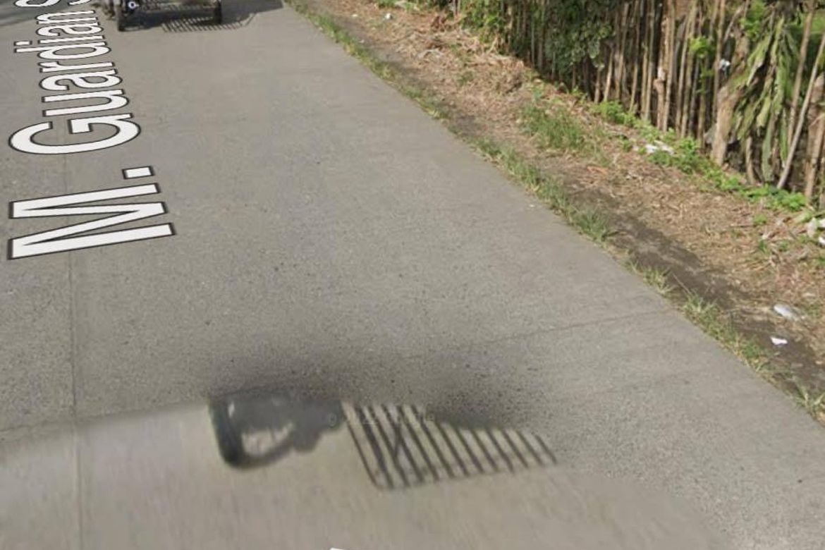 Land for Sale in Toril, Davao City, Davao del Sur – photo 2
