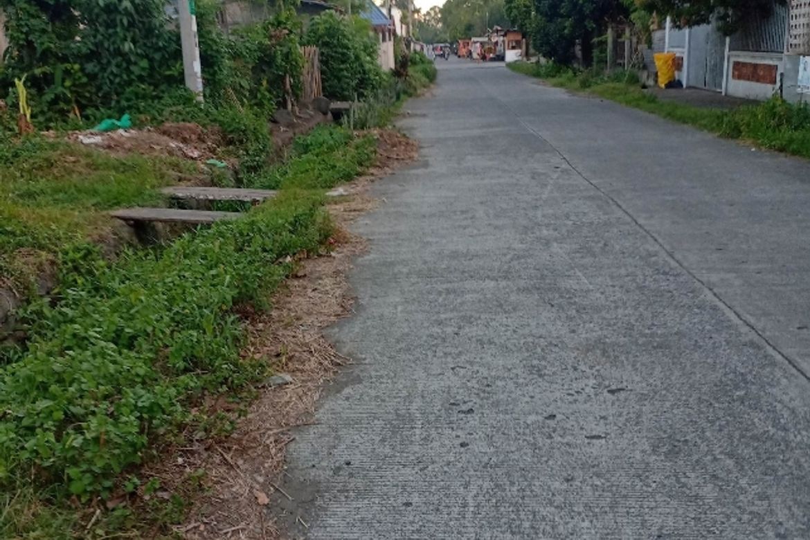 Land for Sale in Toril, Davao City, Davao del Sur – photo 3