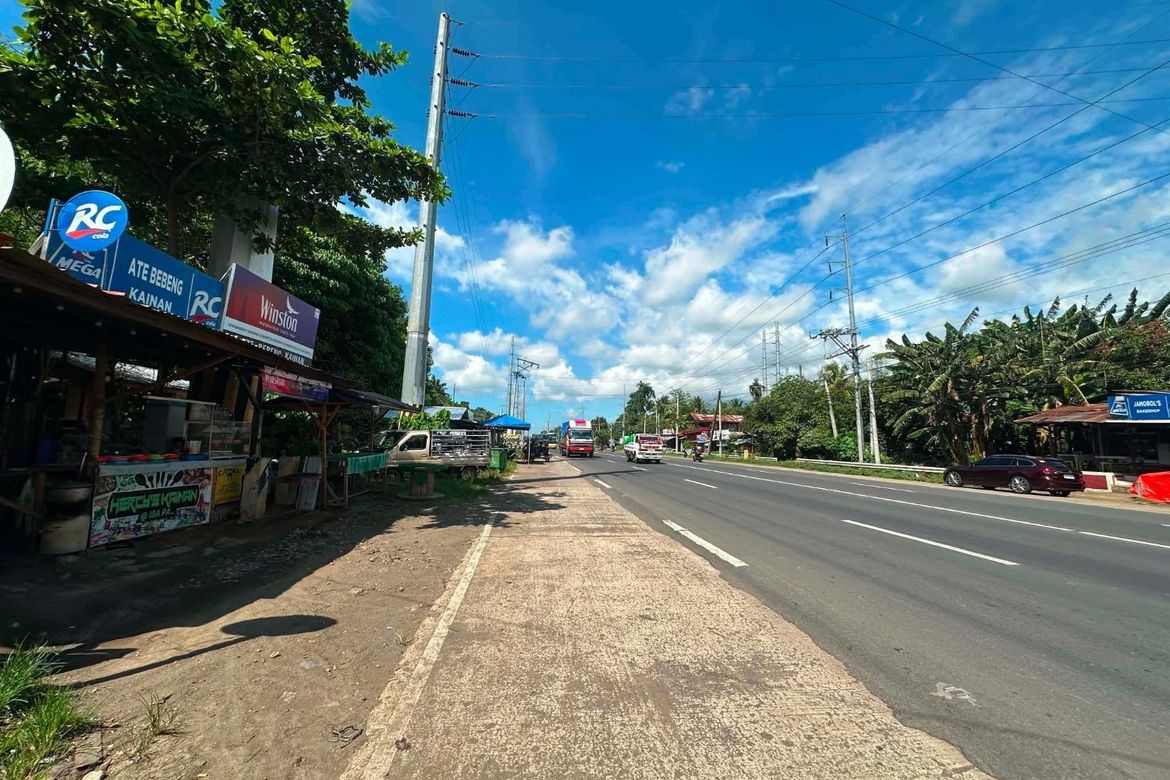 Land for Sale in Toril, Davao City, Davao del Sur – photo 4