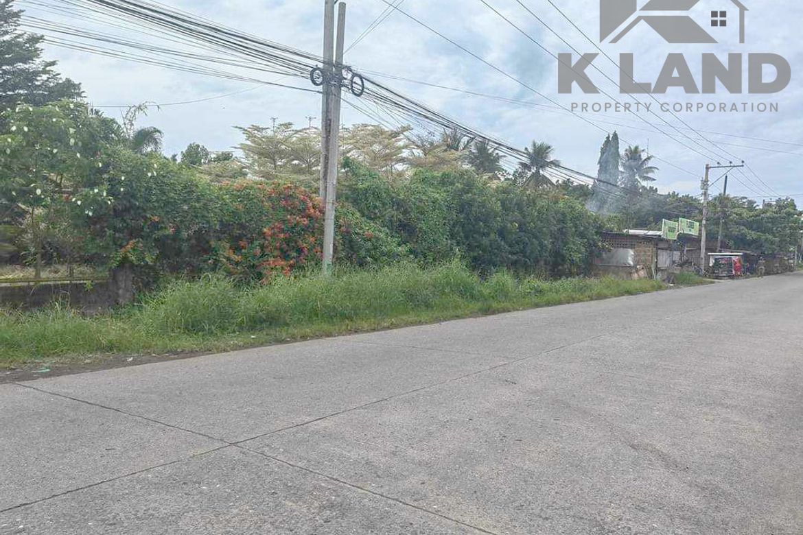 Land for Sale in Toril, Davao City, Davao del Sur